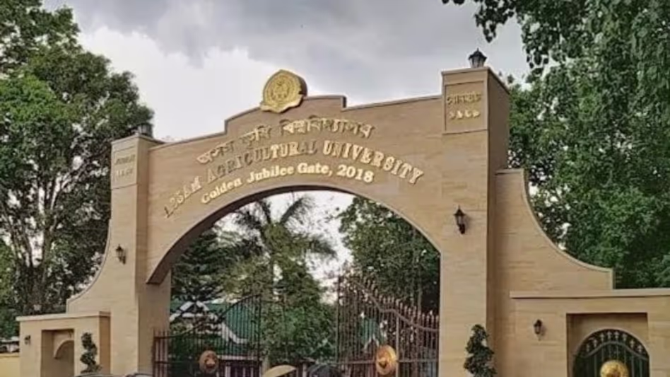 Assam कृषि विश्वविद्यालय की उच्च उपज वाली बैंगनी चावल की किस्म का पंजीकरण हुआ Assam कृषि विश्वविद्यालय की उच्च उपज वाली बैंगनी चावल की किस्म का पंजीकरण हुआ