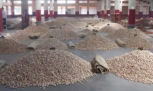 Karnataka : श्रावण में नहीं बढ़ रही सुपारी की कीमतें Karnataka : श्रावण में नहीं बढ़ रही सुपारी की कीमतें