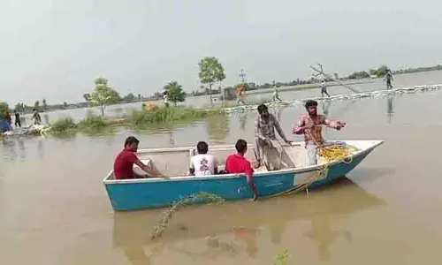 Fazilka में बारिश के पानी से 20,000 एकड़ की फसलें तबाह