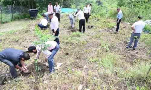 राज्य के संस्थापक पिता के सम्मान में Nauni में 5,771 पौधे लगाए गए