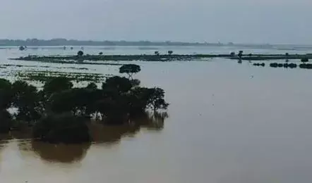 Ballia: गंगा के बढ़ते जलस्तर से टापू बने दर्जनों गांव Ballia: गंगा के बढ़ते जलस्तर से टापू बने दर्जनों गांव