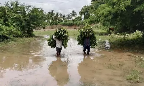 Karnataka : जलमग्न खाड़ी पर पुल: संकट