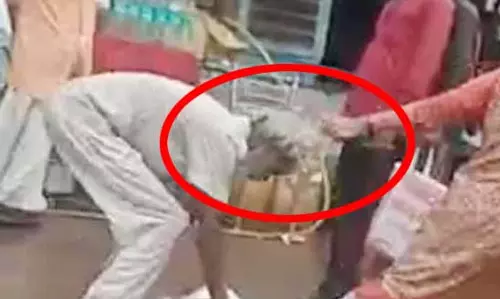OMG! महिला की क्रूरता कैमरे में कैद
