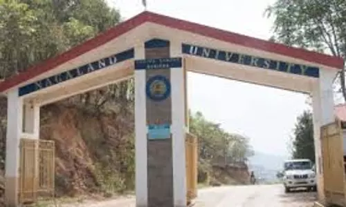 एनयू ने भाषा और संस्कृति में एमए की शुरुआत की एनयू ने भाषा और संस्कृति में एमए की शुरुआत की