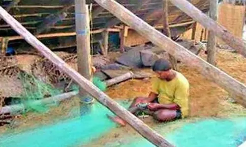 NGT ने GCZMA के विध्वंस आदेश को रद्द किया, नेरुल के पारंपरिक मछुआरों को राहत दी