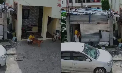 पुणे के टिंगरे नगर में व्यक्ति पर पशु क्रूरता का संगीन आरोप
