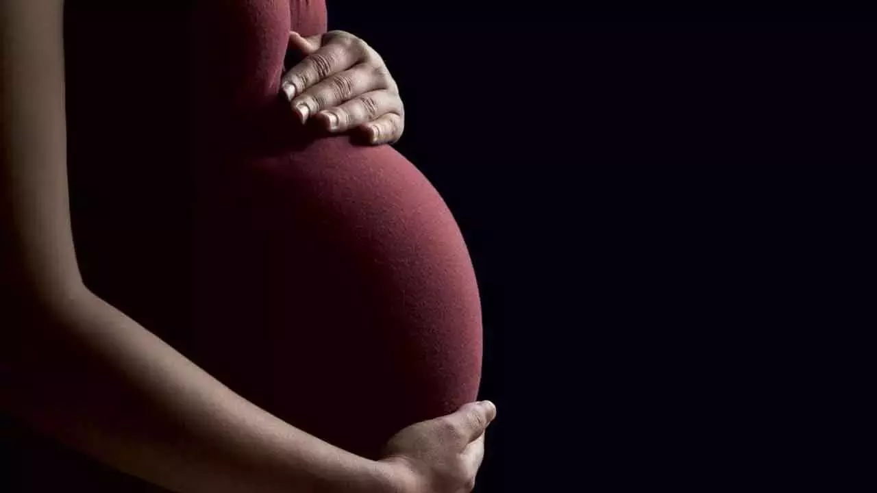 पुलिस ने सरोगेसी और IVF घोटाले की जांच तेज की, और मामले दर्ज पुलिस ने सरोगेसी और IVF घोटाले की जांच तेज की, और मामले दर्ज