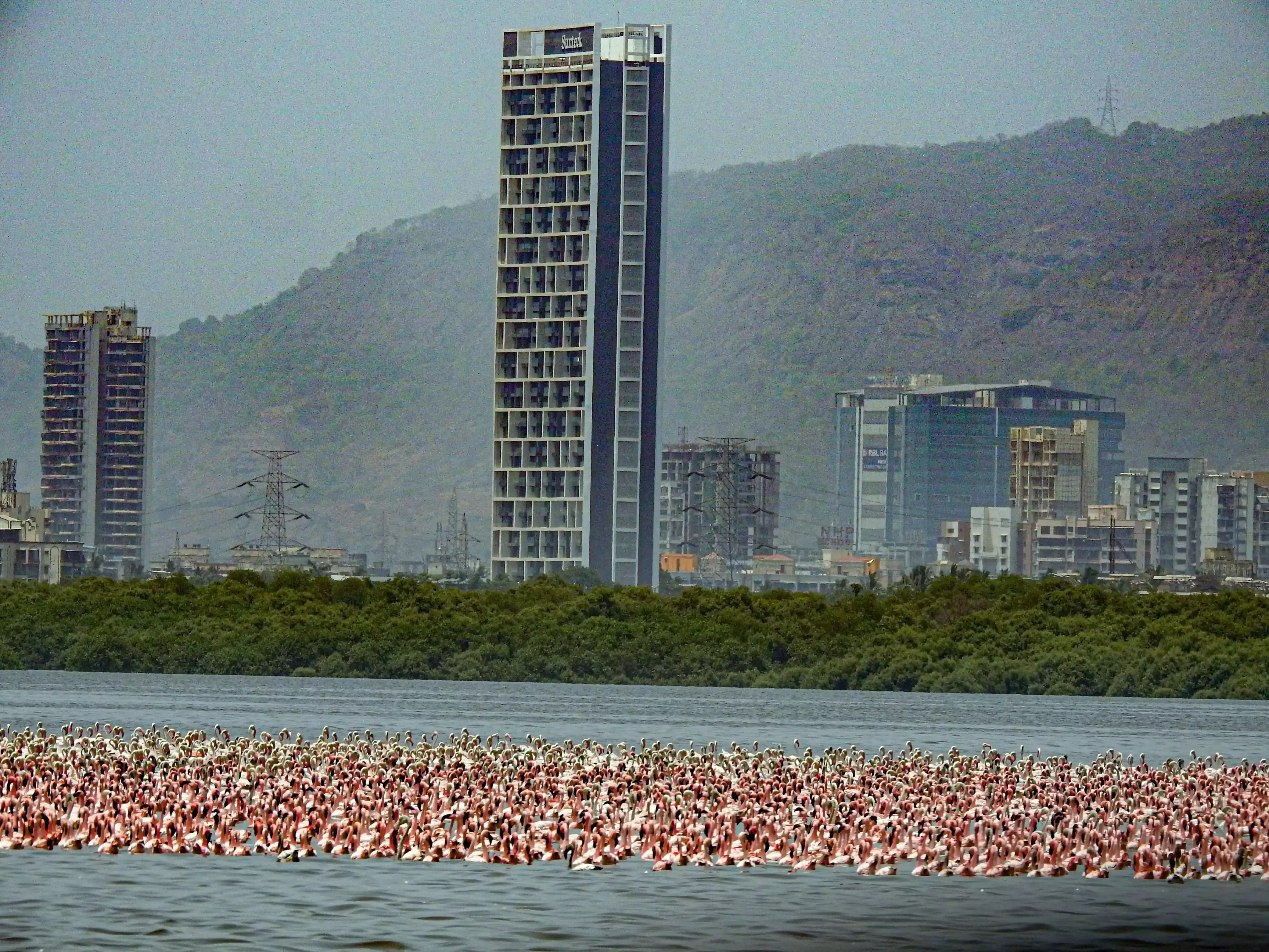 Mumbai: मछुआरों की रोज़ी पर विकास की मार Mumbai: मछुआरों की रोज़ी पर विकास की मार