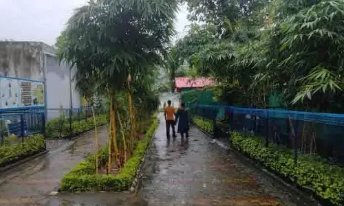 नदी किनारे घूंट भरिए, Paonta Sahib में कैफे कालिंदी में प्रकृति और नाश्ते का संगम