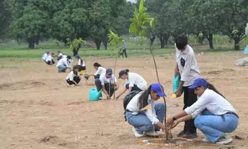 Chandigarh में चार वर्षों में वन क्षेत्र 2.97 वर्ग किलोमीटर बढ़ा Chandigarh में चार वर्षों में वन क्षेत्र 2.97 वर्ग किलोमीटर बढ़ा