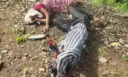 Mandsaur: घोड़ारोज से टकराकर घायल हुए पति-पत्नी