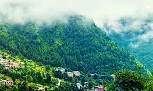 Dharamshala: हरित विकास बना प्रदेश की पहचान: पठानिया