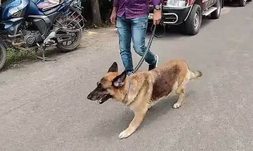 अशोकनगर के जंगल में गला रेतकर मिली लाश का मामला अब भी रहस्य अशोकनगर के जंगल में गला रेतकर मिली लाश का मामला अब भी रहस्य