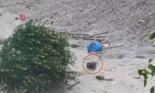 उत्तराखंड में अचानक आई बाढ़ में व्यक्ति मौत से बचकर कीचड़ से बाहर निकला