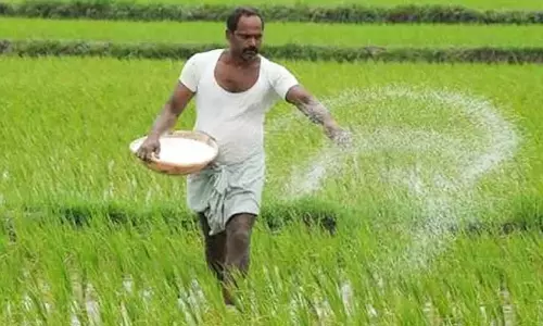 ओडिशा में बरगढ़ की 6 उर्वरक दुकानों के लाइसेंस निलंबित