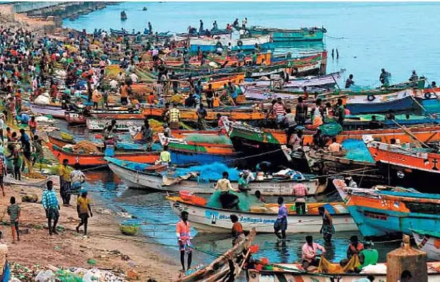 Tamil Nadu : 10 पम्बन मछुआरे गिरफ्तार Tamil Nadu : 10 पम्बन मछुआरे गिरफ्तार