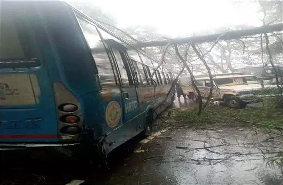 Himachal: चलती बस पर गिरा विशाल पेड़, लगा लंबा जाम Himachal: चलती बस पर गिरा विशाल पेड़, लगा लंबा जाम