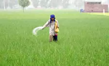सरकार किसानों को यूरिया का कम इस्तेमाल करने के लिए कर रही प्रोत्साहित, वैकल्पिक उर्वरकों को अधिसूचित किया सरकार किसानों को यूरिया का कम इस्तेमाल करने के लिए कर रही प्रोत्साहित, वैकल्पिक उर्वरकों को अधिसूचित किया