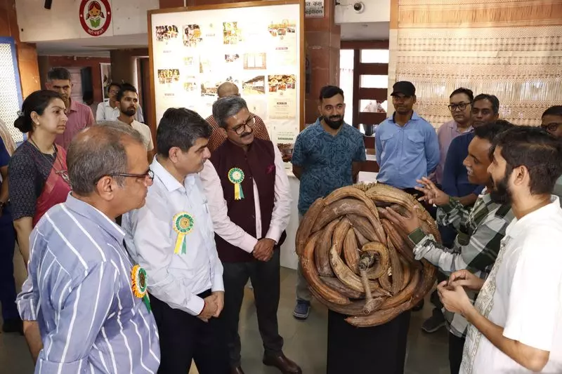 रोहतक विजुअल आर्ट्स विश्वविद्यालय ने नए छात्रों का स्वागत किया रोहतक विजुअल आर्ट्स विश्वविद्यालय ने नए छात्रों का स्वागत किया