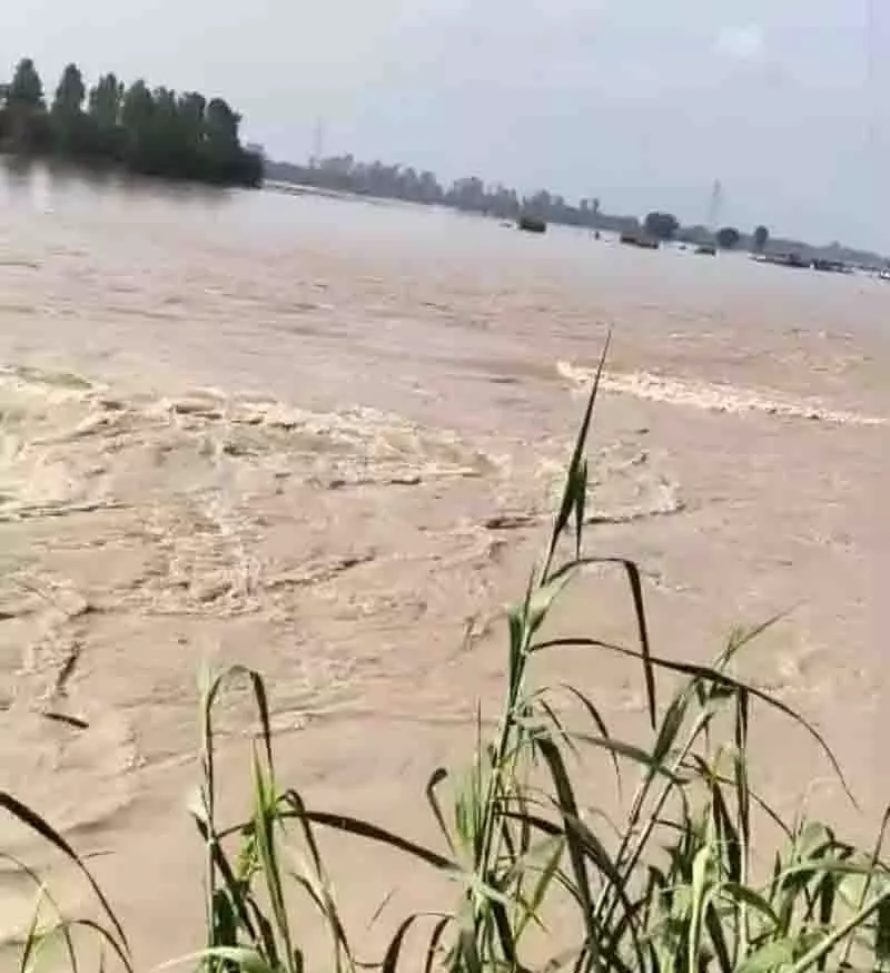 Tarn Taran: ब्यास नदी के उफान पर आने से 12,000 एकड़ की फसलें जलमग्न Tarn Taran: ब्यास नदी के उफान पर आने से 12,000 एकड़ की फसलें जलमग्न