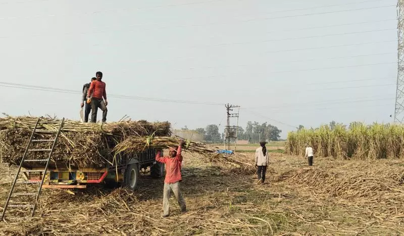 Ambala के किसानों ने कृषि मंत्री से मुलाकात की, गन्ने की कीमतों में बढ़ोतरी की मांग की Ambala के किसानों ने कृषि मंत्री से मुलाकात की, गन्ने की कीमतों में बढ़ोतरी की मांग की