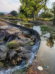 Kerala खुले नालों के लिए सुरक्षात्मक बाड़ लगाएगा एलएसजीडी ने ली जिम्मेदारी Kerala खुले नालों के लिए सुरक्षात्मक बाड़ लगाएगा एलएसजीडी ने ली जिम्मेदारी