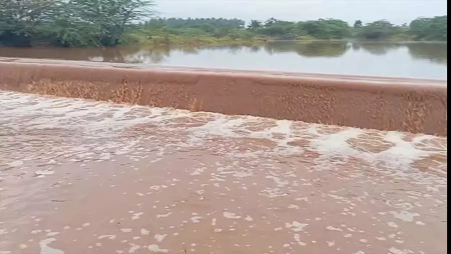 Jagalur : समय पर हुई बारिश से किसानों की चिंताएं दूर Jagalur : समय पर हुई बारिश से किसानों की चिंताएं दूर