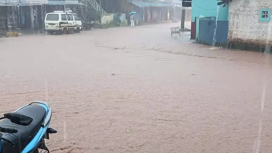 चंद्रगुट्टी में भारी बारिश; ग्राम पंचायत के लिए अभिशाप चंद्रगुट्टी में भारी बारिश; ग्राम पंचायत के लिए अभिशाप
