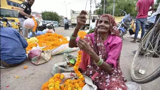 हरियाणा का सबसे बड़ा फूल बाजार गुरुग्राम के सेक्टर 109 में बनेगा हरियाणा का सबसे बड़ा फूल बाजार गुरुग्राम के सेक्टर 109 में बनेगा