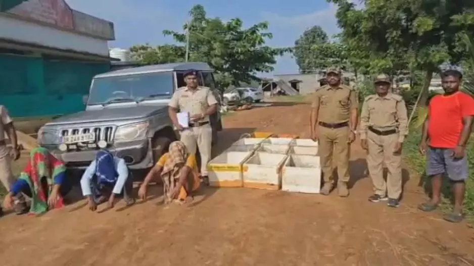 ओडिशा के मलकानगिरी में 1000 से अधिक कछुए बचाए गए, 3 गिरफ्तार ओडिशा के मलकानगिरी में 1000 से अधिक कछुए बचाए गए, 3 गिरफ्तार
