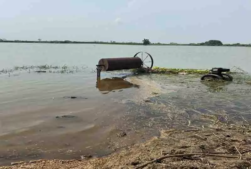 Sultanpur Lodhi: खेतों में पानी कम हुआ, लेकिन किसानों की चिंता बरकरार Sultanpur Lodhi: खेतों में पानी कम हुआ, लेकिन किसानों की चिंता बरकरार