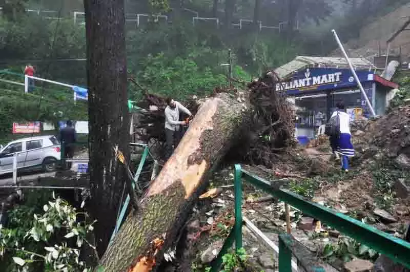 किन्नौर में NH-5 अवरुद्ध, 11 अगस्त तक जारी रहेगी बारिश किन्नौर में NH-5 अवरुद्ध, 11 अगस्त तक जारी रहेगी बारिश