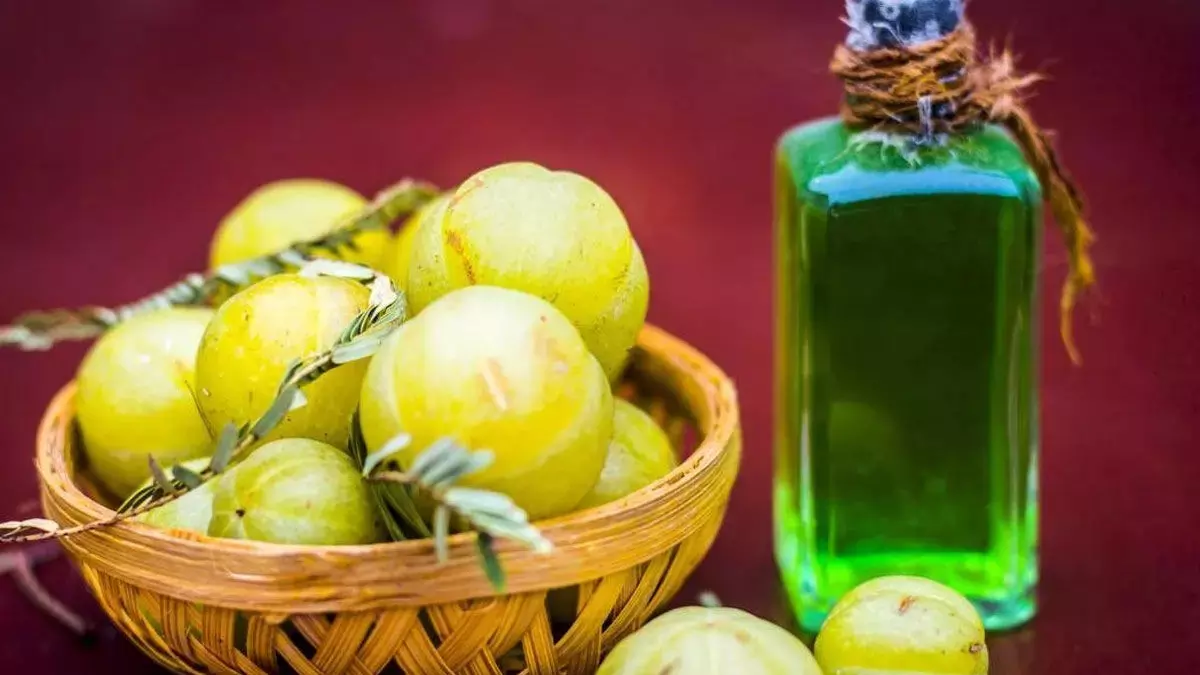 बालों के विकास के लिए आंवला तेल: घर पर घने और मज़बूत बालों के लिए DIY गाइड बालों के विकास के लिए आंवला तेल: घर पर घने और मज़बूत बालों के लिए DIY गाइड