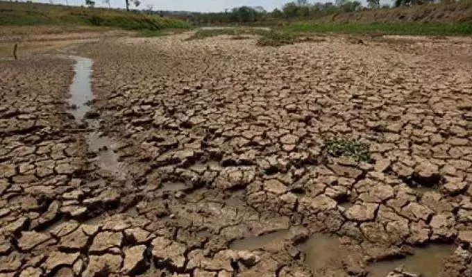 Godavari जिलों के कुछ इलाकों में सूखे की स्थिति Godavari जिलों के कुछ इलाकों में सूखे की स्थिति