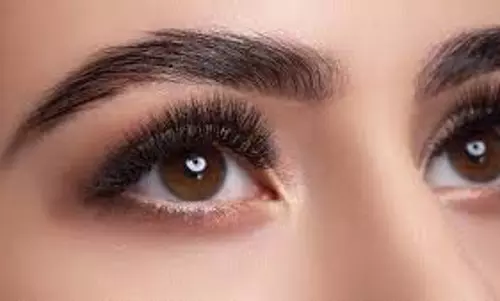 Beauty Tips: सिर्फ 7 दिन में पाएं घनी आइब्रो और पलकें, 5 चमत्कारी घरेलू उपाय Beauty Tips: सिर्फ 7 दिन में पाएं घनी आइब्रो और पलकें, 5 चमत्कारी घरेलू उपाय