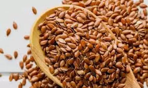 Flax seeds :फैट बर्न करने में मददगार हैं अलसी के बीज Flax seeds :फैट बर्न करने में मददगार हैं अलसी के बीज