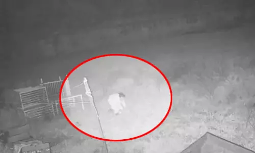 टीएस सिंहदेव के घर इस रास्ते से घुसे चोर, वीडियो