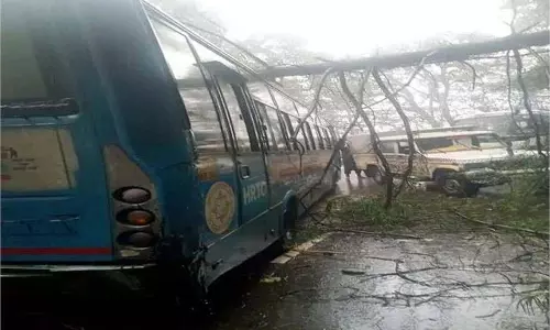 Himachal: चलती बस पर गिरा विशाल पेड़, लगा लंबा जाम Himachal: चलती बस पर गिरा विशाल पेड़, लगा लंबा जाम