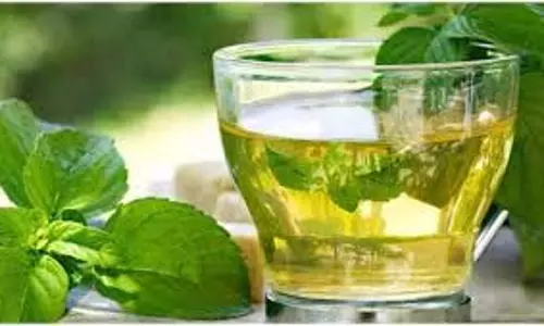 Health:मानसून में पुदीने की चाय पीने के कई फायदे