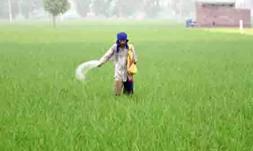 सरकार किसानों को यूरिया का कम इस्तेमाल करने के लिए कर रही प्रोत्साहित, वैकल्पिक उर्वरकों को अधिसूचित किया
