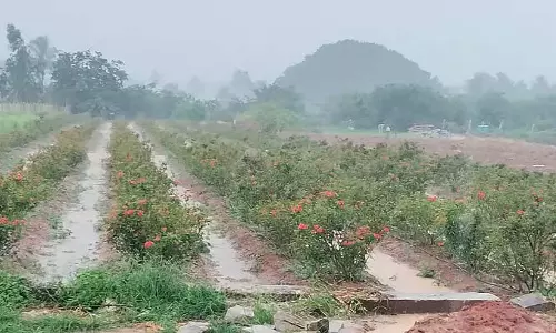 Karnataka : चिक्कबल्लापुर में अच्छी बारिश