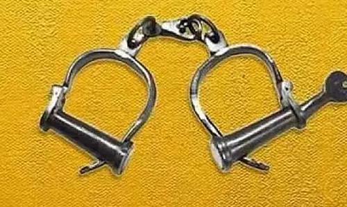 Kerala: बिल्ली की हत्या कर वीडियो इंस्टाग्राम पर पोस्ट करने के आरोप में एक व्यक्ति गिरफ्तार