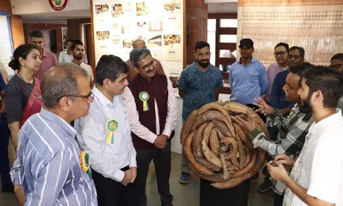 रोहतक विजुअल आर्ट्स विश्वविद्यालय ने नए छात्रों का स्वागत किया रोहतक विजुअल आर्ट्स विश्वविद्यालय ने नए छात्रों का स्वागत किया