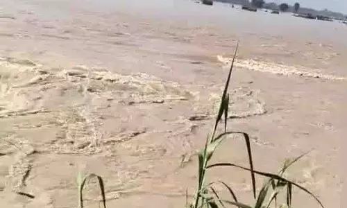 Tarn Taran: ब्यास नदी के उफान पर आने से 12,000 एकड़ की फसलें जलमग्न