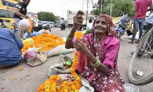 हरियाणा का सबसे बड़ा फूल बाजार गुरुग्राम के सेक्टर 109 में बनेगा हरियाणा का सबसे बड़ा फूल बाजार गुरुग्राम के सेक्टर 109 में बनेगा