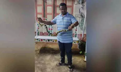 Kothagudem में पहली बार दुर्लभ बैंडेड क्रेट देखा गया