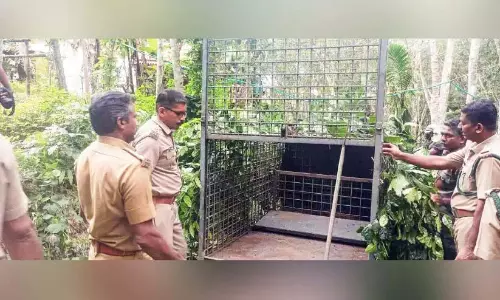 Kerala : बाघ की मौजूदगी, लोग दहशत में