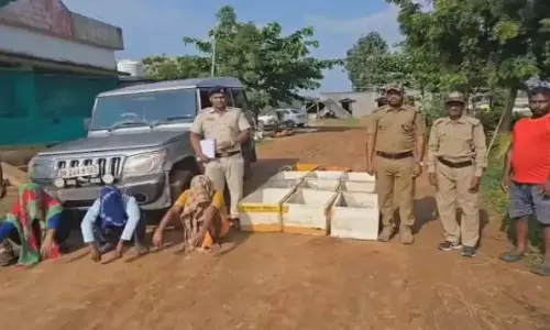 ओडिशा के मलकानगिरी में 1000 से अधिक कछुए बचाए गए, 3 गिरफ्तार ओडिशा के मलकानगिरी में 1000 से अधिक कछुए बचाए गए, 3 गिरफ्तार
