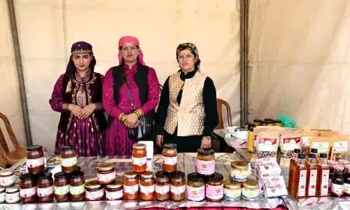 Himachal में स्वयं सहायता समूह द्वारा बनाई गई सेब की बर्फी ने देशभर में धूम मचा दी