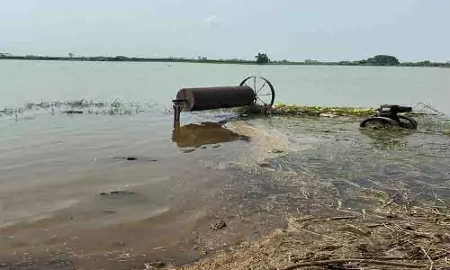 Sultanpur Lodhi: खेतों में पानी कम हुआ, लेकिन किसानों की चिंता बरकरार